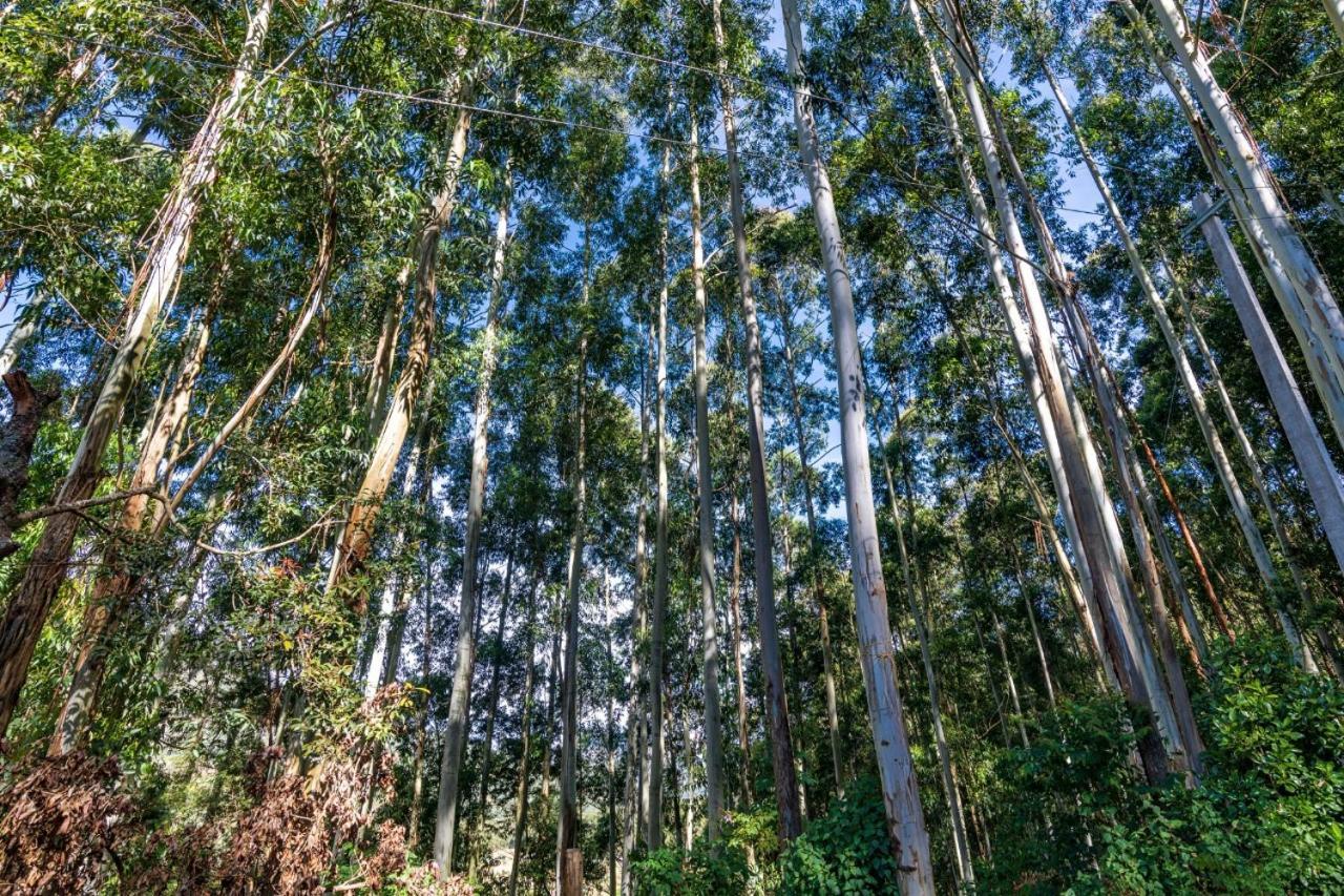森堡度假屋 Kottakamboor 外观 照片